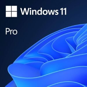 WINDOWS 10/11 PRO/HOME KEY